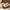 9505e884408dc6bc49c22b400fa3ebf6