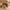 f110846c86b6340ce6b1b94857e9e909