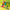 6afb7420e914b68eef9a67ed2ecd96e8
