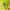d71c04d04719962722ee08e79fc6293d